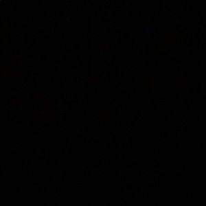 Meet your Posher, Diego